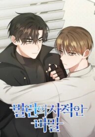 Cover 93782