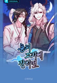 Cover 93828