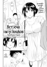 Cover 94210