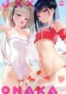 Cover 94237