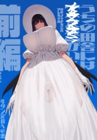 Cover 94273