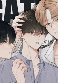 Cover 94333