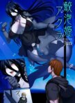 Cover 94411