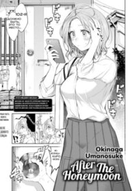 Cover 94487