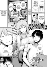 Cover 94530