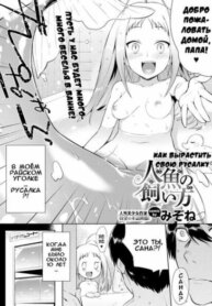 Cover 94642
