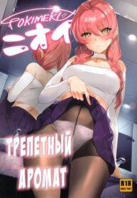 Cover 94680