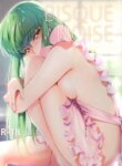 Cover 94690