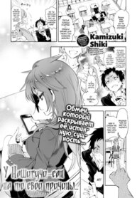 Cover 94830
