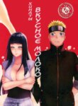Cover 94852