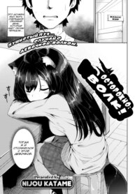 Cover 94868