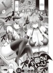Cover 94900