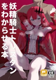 Cover 95028
