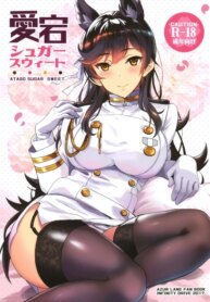 Cover 95060