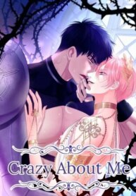 Cover 95088