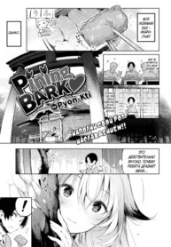 Cover 95094