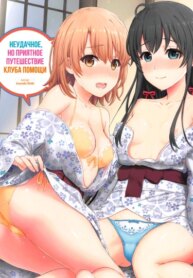 Cover 95160