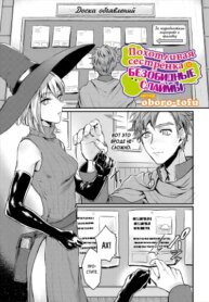 Cover 95210