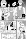 Cover 95229