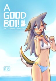 Cover 95234
