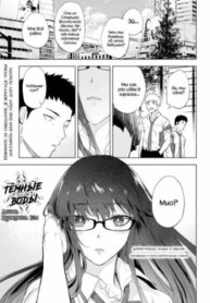 Cover 95260