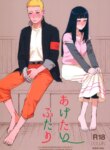 Cover 95262