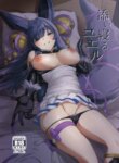 Cover 95271