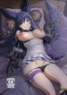 Cover 95271