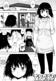 Cover 95280