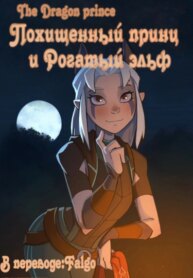 Cover 95364