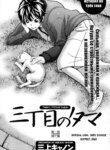 Cover 95505
