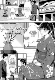 Cover 95520