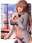 Cover 95522