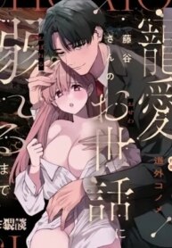 Cover 95526
