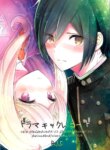 Cover 95530