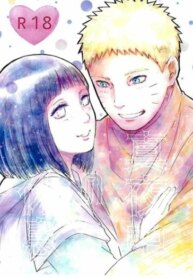 Cover 95564