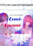 Cover 95654
