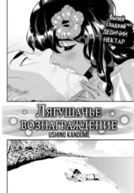 Cover 95680