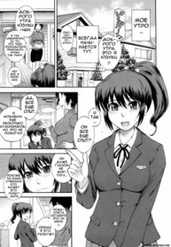 Cover 95856