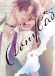 Cover 95904