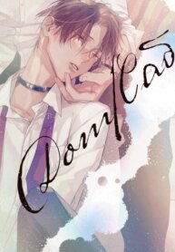 Cover 95904
