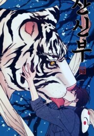 Cover 95920