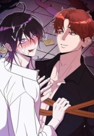 Cover 95936