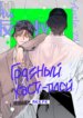 Cover 95947