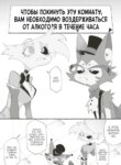 Cover 95965