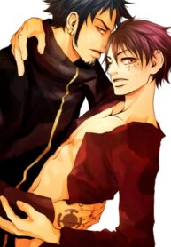 Cover 95987