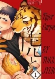 Cover 96015