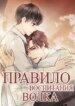 Cover 96027