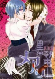 Cover 96088