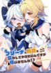 Cover 96276